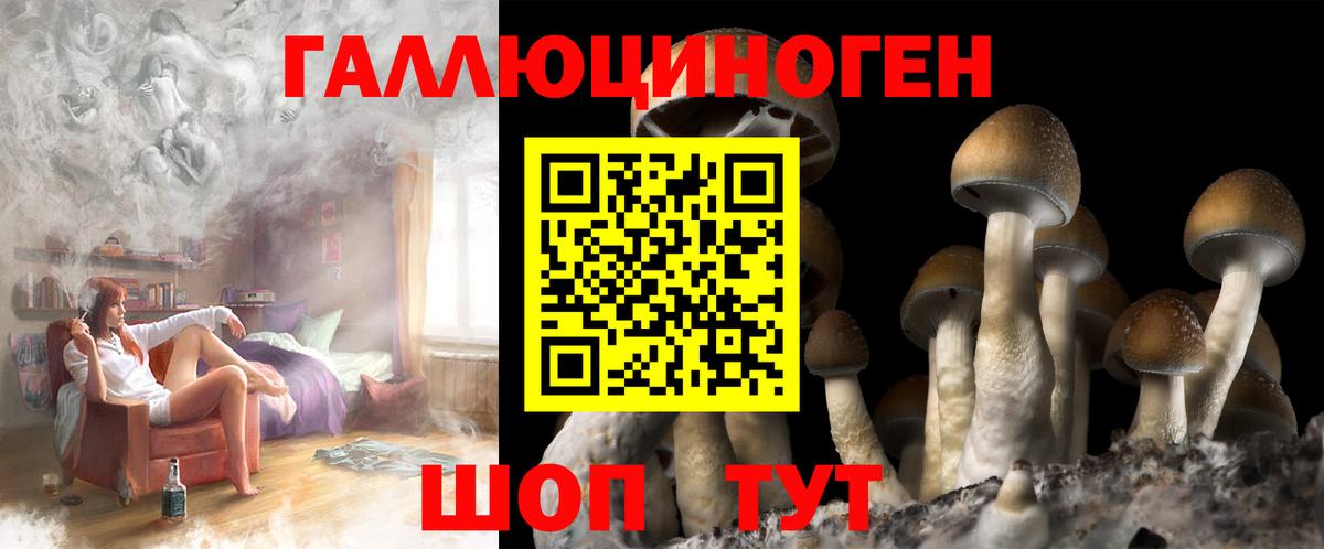 Пугачёв  Галлюциногенные грибы MAGIC MUSHROOMS  Вход с VPN 